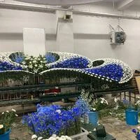 画像283