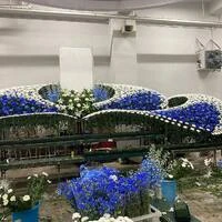画像285