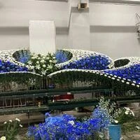 画像292