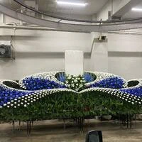 画像294