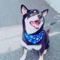画像310