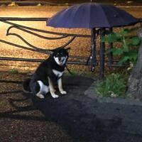 画像313