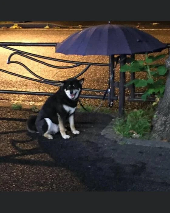 画像313