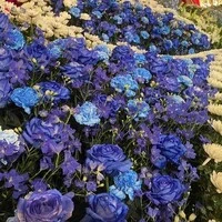 画像316