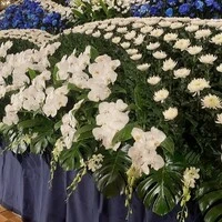 画像317