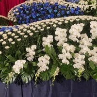 画像318