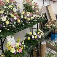 画像375