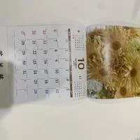 画像453