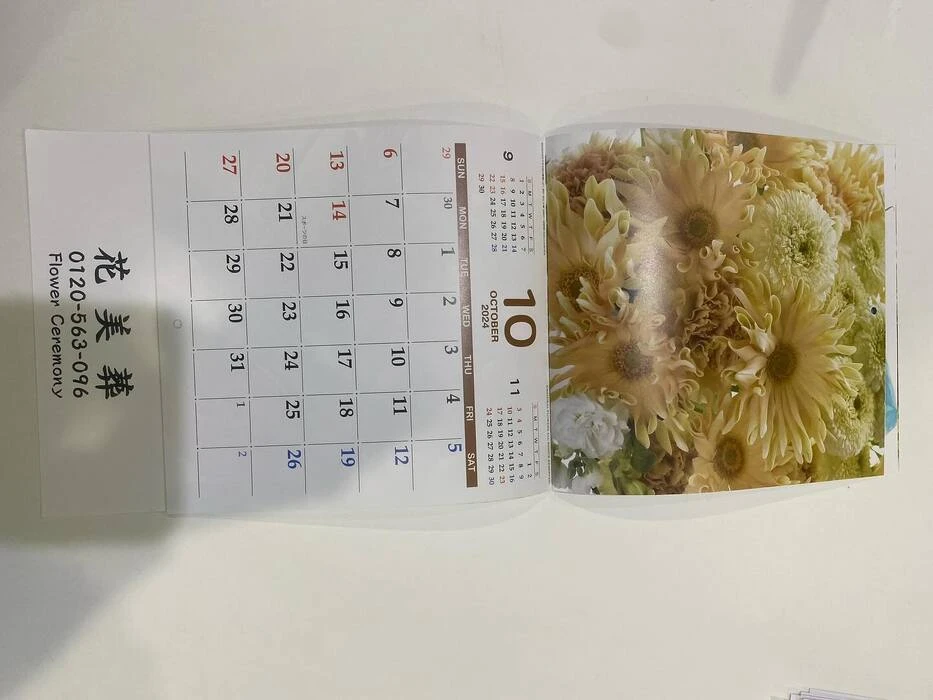 画像453