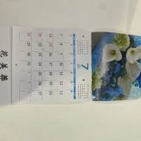 画像454