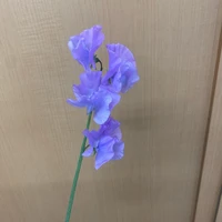 画像478