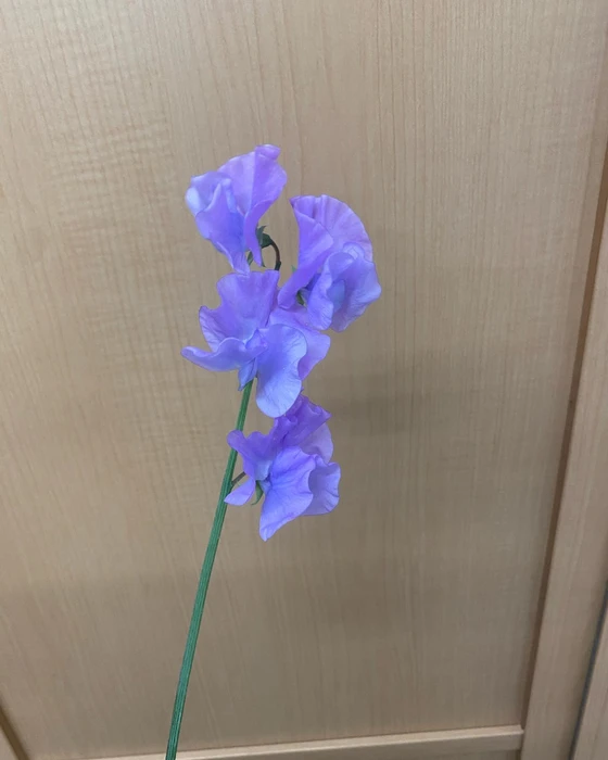 画像478