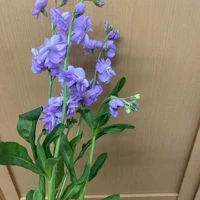 画像479