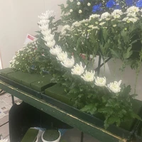 画像485