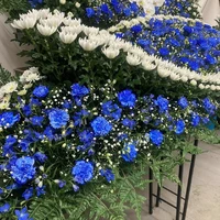 画像487