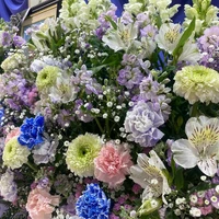 画像491