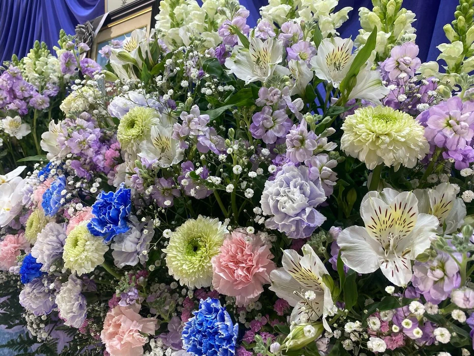 画像491