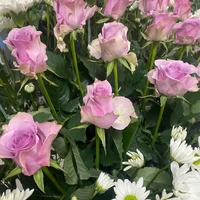 画像496