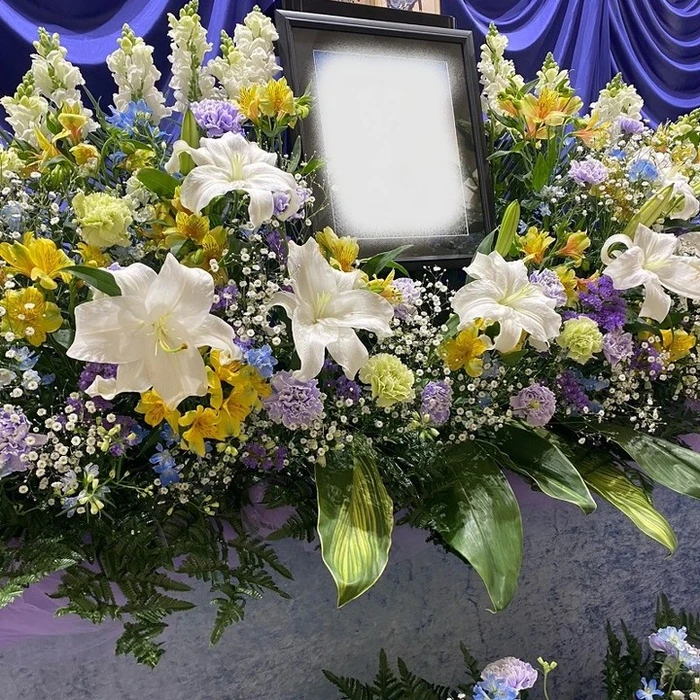 画像527