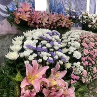 画像545