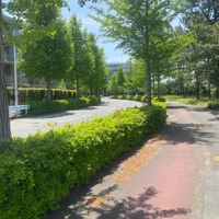 画像548