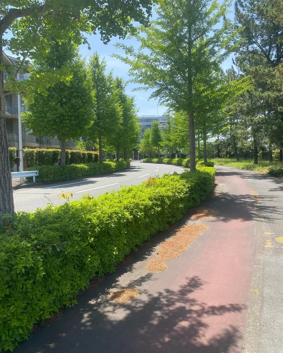 画像548