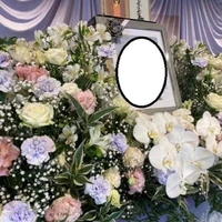 画像555