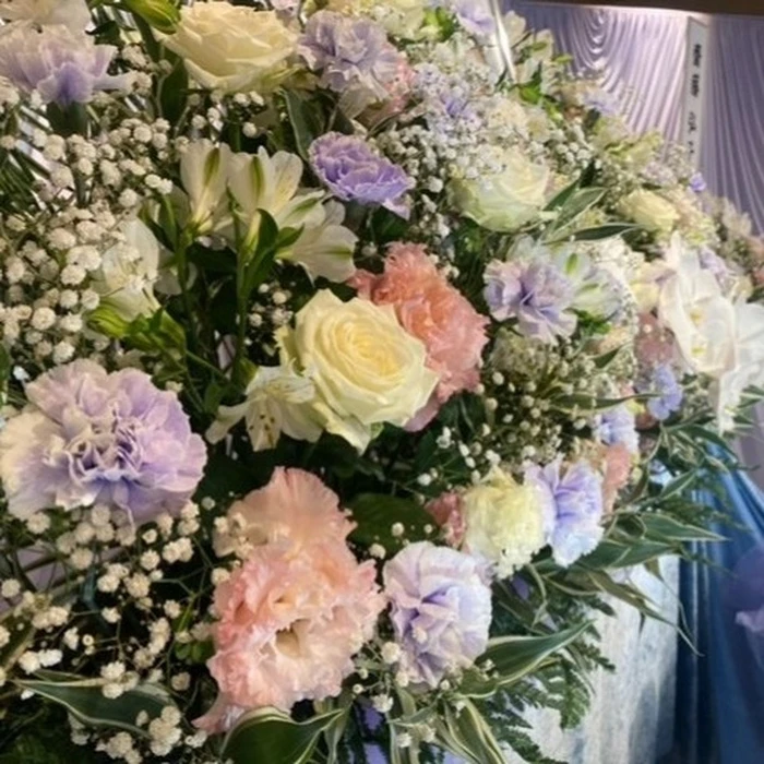 画像556