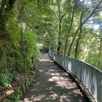 画像565