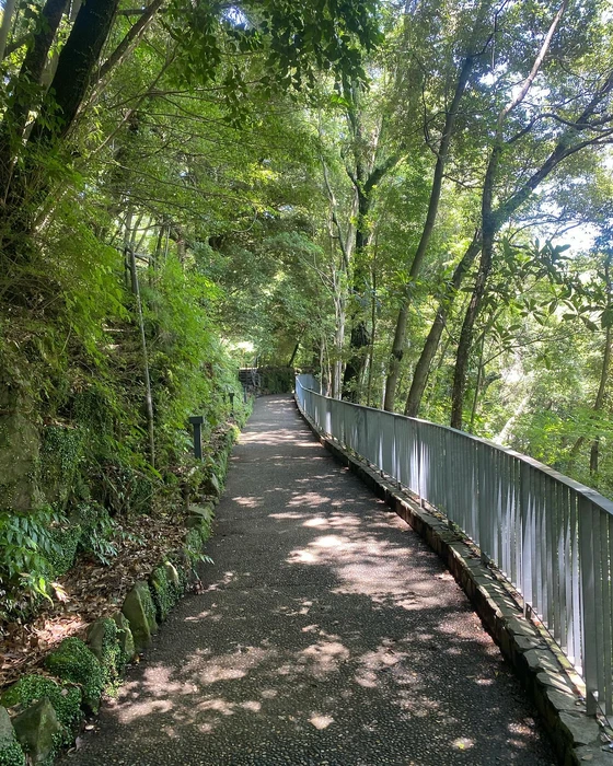 画像565