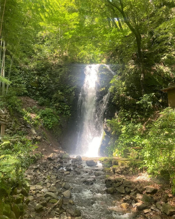 画像567