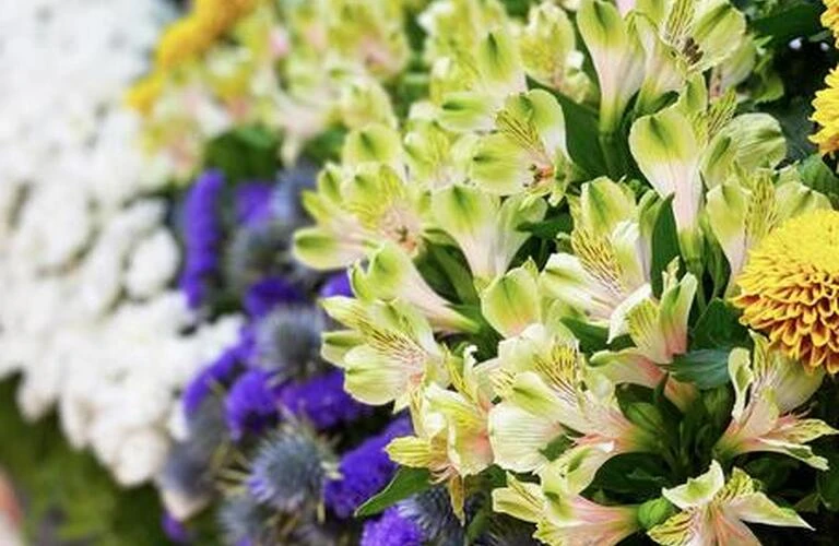 家族葬の葬儀