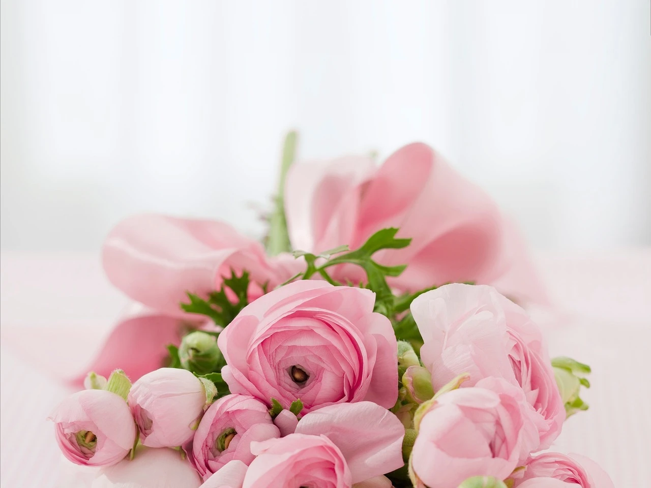 公認会計士23