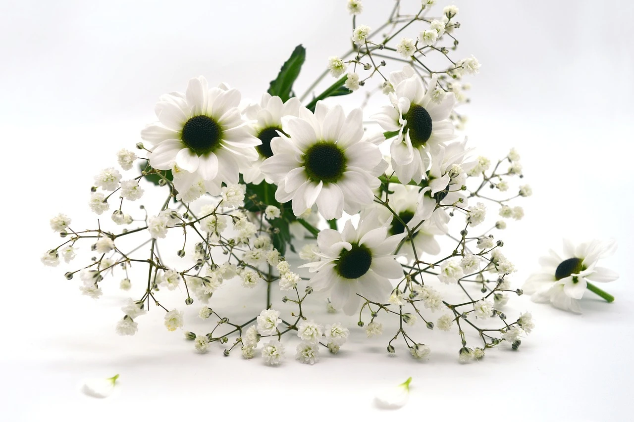 地域密着の花の葬儀なら、花美葬にお任せください