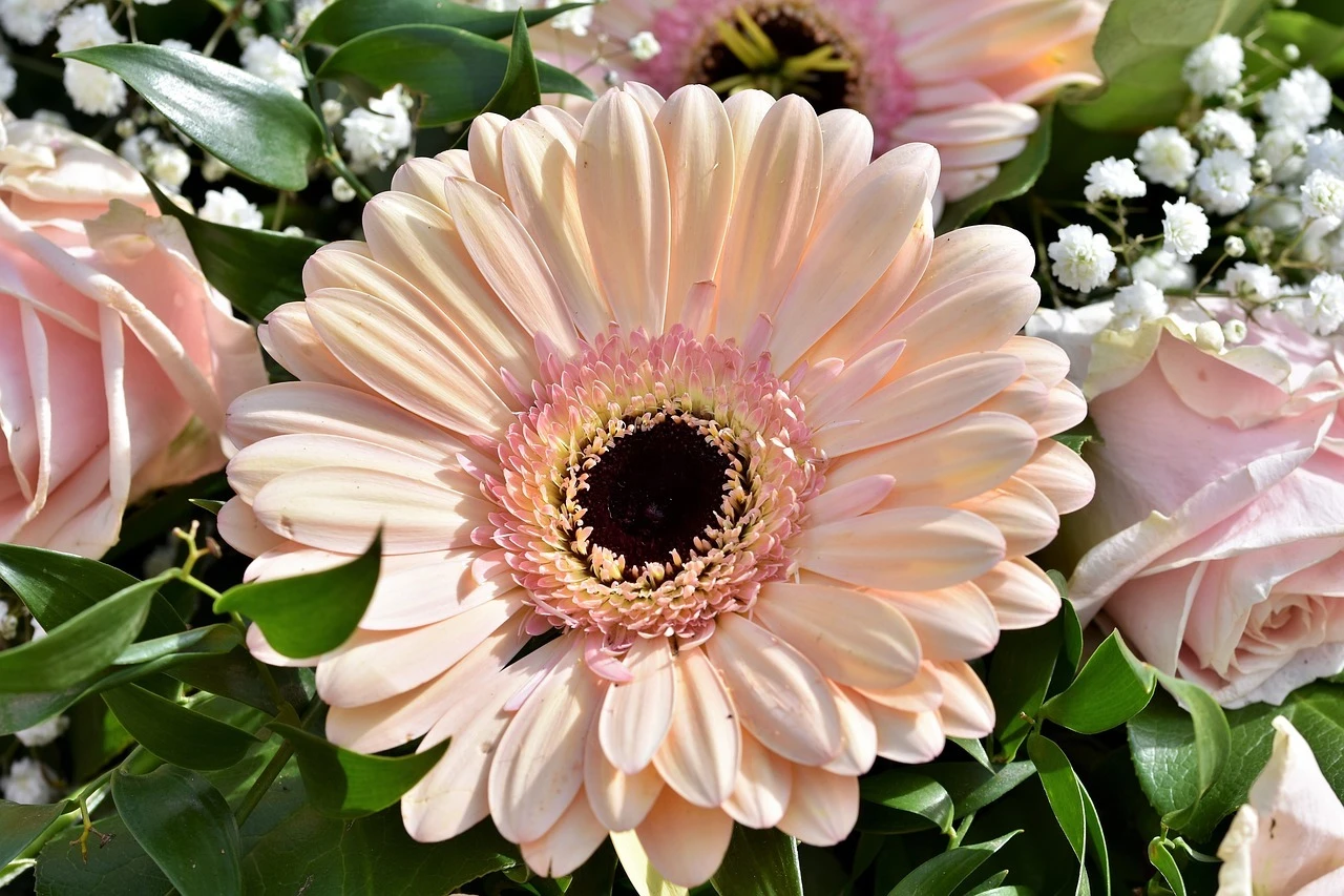 花