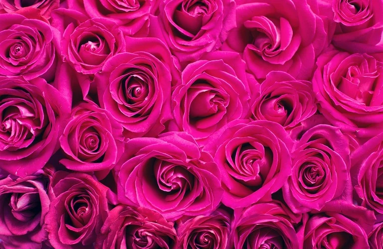 花でのお別れを低価格で花美葬がお手伝い致します