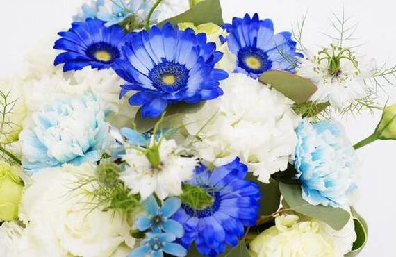 花の葬儀　花美葬の葬儀プラン