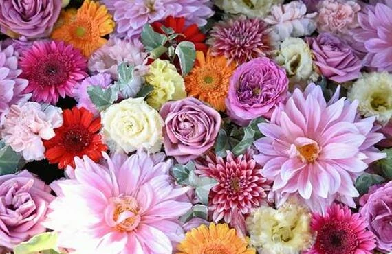 花の葬儀は花美葬｜川崎市の葬儀社